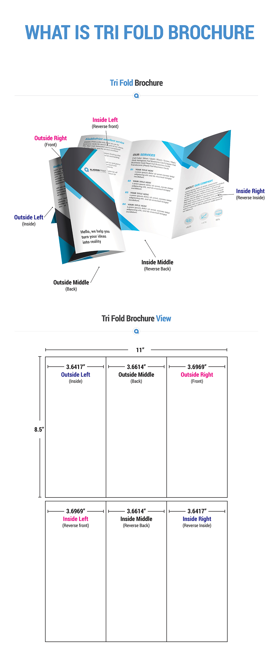 Tri Fold Brochure